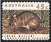 Colnect-1412-839-Parma-Wallaby-Wallabia-parma.jpg