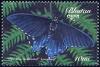 Colnect-2303-863-Pipevine-Swallowtail-Battus-philenor.jpg