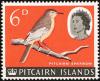 Colnect-2411-289-Pitcairn-Reed-warbler-Acrocephalus-vaughanii.jpg