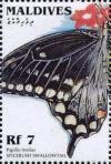 Colnect-4182-809-Spicebush-Swallowtail-Papilio-troilus.jpg