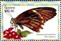 Colnect-3460-497-Polydamas-swallowtail-Battus-polydamas.jpg