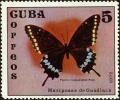 Colnect-4828-607-Poey-s-Black-Swallowtail-Papilio-caiguanabus.jpg