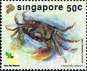 Colnect-4263-349-Johnson-s-Freshwater-Crab-Irmengardia-johnsoni.jpg