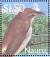 Colnect-2816-430-Nauru-Reed-Warbler-Acrocephalus-rehsei.jpg