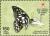 Colnect-3056-386-Checkered-Swallowtail-Papilio-demoleus.jpg