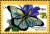 Colnect-3505-583-Giant-Blue-Swallowtail-Papilio-zalmoxis.jpg