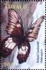 Colnect-3500-469-Orchard-Swallowtail-Papilio-aegeus.jpg