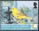 Colnect-3088-943-American-Yellow-Warbler-nbsp-Dendroica-petechia.jpg