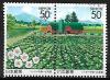 Colnect-5303-564-Flowering-Potato-Field.jpg