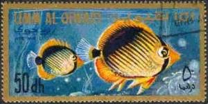 Colnect-1449-390-Blackwedged-butterflyfish.jpg