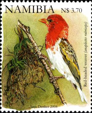 Colnect-2769-584-Red-headed-Weaver-Anaplectes-rubriceps.jpg
