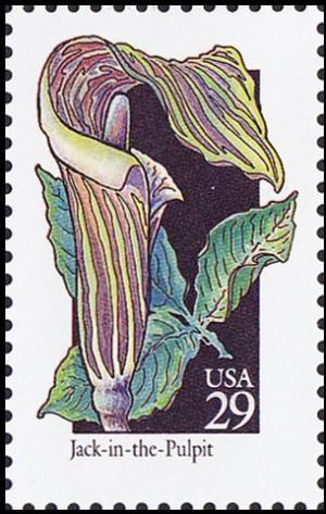 Colnect-5103-781-WildflowersJack-In-The-Pulpit.jpg