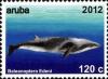 Colnect-1622-507-Bryde-s-Whale-Balaenoptera-edeni.jpg