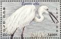 Colnect-1614-713-Great-White-Egret-Ardea-alba.jpg