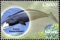 Colnect-5993-640-Bowhead-Whale-Balaena-mysticetus.jpg