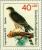Colnect-155-223-Sparrowhawk-Accipiter-nisus.jpg