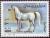 Colnect-5148-132-White-Arab-horse.jpg