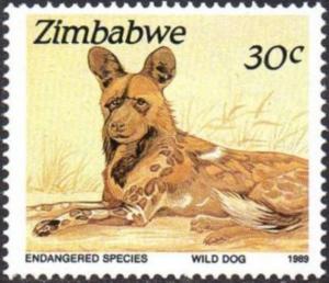 Colnect-3265-667-African-Wild-Dog-Lycaon-pictus-.jpg