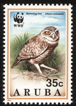 Colnect-579-868-WWF-Burrowing-owl-Adult-with-prey.jpg