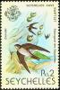 Colnect-1721-619-Seychelles-Swiftlet-Aerodramus-elaphrus.jpg