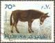 Colnect-1794-347-African-Wild-Ass-Equus-africanus.jpg