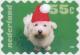 Colnect-181-242-Dog-with-Christmas-hat.jpg
