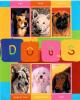 Colnect-4862-648-Six-Dogs-with-names-above-or-below.jpg
