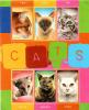 Colnect-4862-647-Six-Cats-with-names-above-or-below.jpg