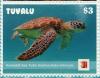 Colnect-6440-987-Hawksbill-Sea-Turtle.jpg