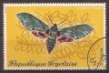 Colnect-1650-176-Verdant-Hawk-moth-Euchloron-megaera.jpg
