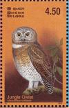 Colnect-2543-489-Jungle-Owlet-Glaucidium-radiatum.jpg