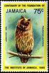 Colnect-2623-965-Jamaican-Owl-Pseudoscops-grammicus-.jpg