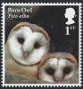 Colnect-4978-993-Barn-Owl-chicks---Tyto-alba.jpg