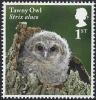 Colnect-4978-995-Tawny-Owl-chick---Strix-aluco.jpg