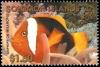 Colnect-1401-742-Cinnamon-Clownfish-Amphiprion-melanopus.jpg