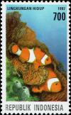 Colnect-4818-543-Orange-Clownfish-Amphiprion-percula.jpg