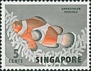 Colnect-858-425-Percula-Clownfish-Amphiprion-percula.jpg