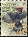 Colnect-1623-927-White-bellied-Woodpecker-Dryocopus-javensis.jpg