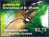 Colnect-6064-804-Woodland-spider.jpg