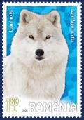 Colnect-6456-842-Arctic-Wolf-Canis-lupus-arctos.jpg