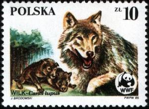 Colnect-1960-482-Wolf-Canis-lupus.jpg
