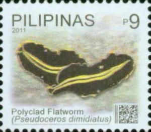 Colnect-2914-131-Divided-Flatworm-Pseudoceros-dimidiatus.jpg