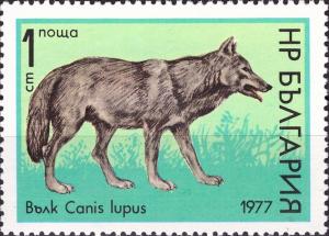 Colnect-4207-484-Wolf-Canis-lupus.jpg