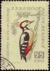 Colnect-786-600-Great-Spotted-Woodpecker-Dendrocopus-major.jpg