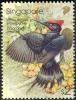 Colnect-1684-843-White-bellied-Woodpecker-Dryocopus-javensis.jpg