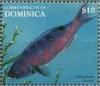 Colnect-3206-800-Creole-Wrasse-Clepticus-parrae.jpg