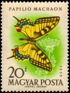 Colnect-813-947-Swallowtail-Papilio-machaon.jpg