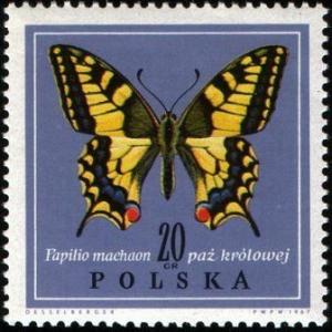 Colnect-3572-816-Swallowtail-Papilio-machaon.jpg
