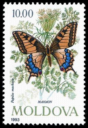 Colnect-506-963-Swallowtail-Papilio-machaon.jpg