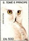 Colnect-5930-204-Snowy-Owl-Strix-nyctea.jpg